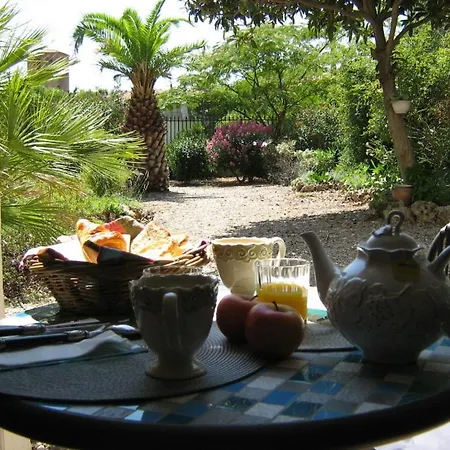 La Maison Des Palmiers