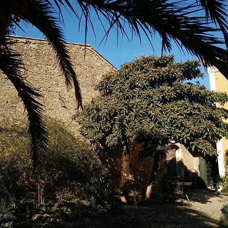 La Maison Des Palmiers Bed & Breakfast *