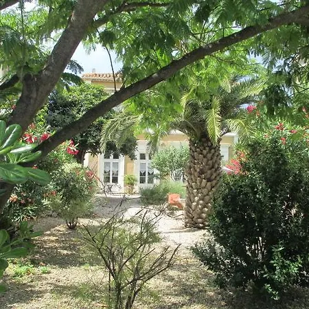 La Maison Des Palmiers Frühstückspension *