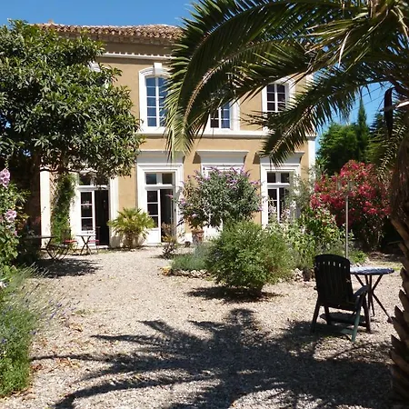 Frühstückspension La Maison Des Palmiers