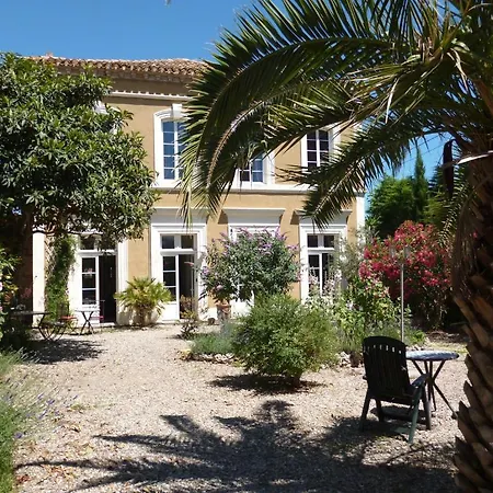 La Maison Des Palmiers