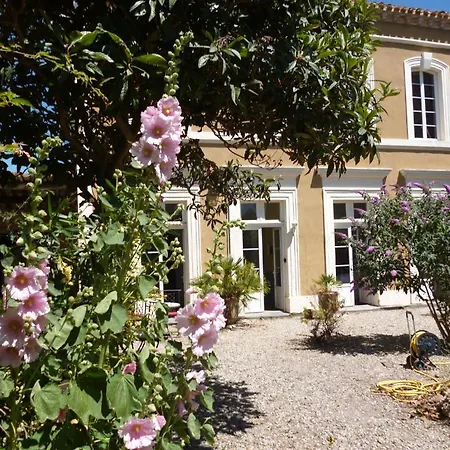 La Maison Des Palmiers * Homps (Aude)