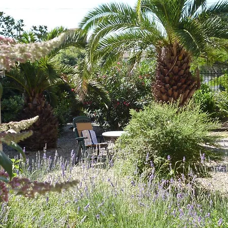 La Maison Des Palmiers Bed & Breakfast
