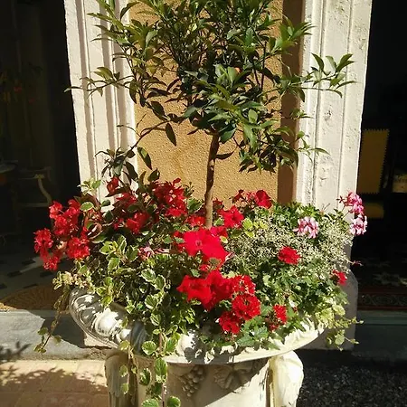 Bed & Breakfast La Maison Des Palmiers