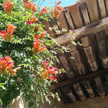 Bed & Breakfast La Maison Des Palmiers *