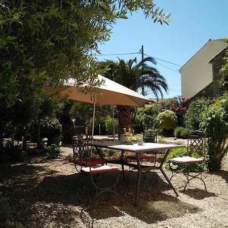 Bed & Breakfast La Maison Des Palmiers