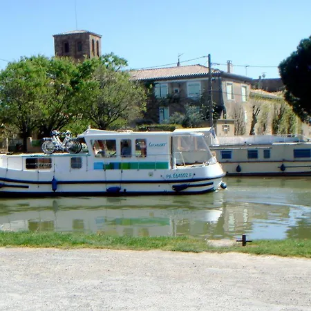 La Maison Des Palmiers 3* Homps