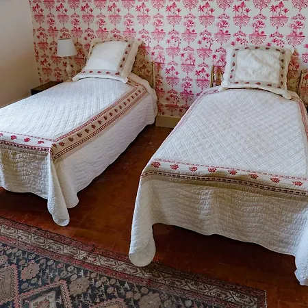 La Maison Des Palmiers Frühstückspension Homps (Aude)