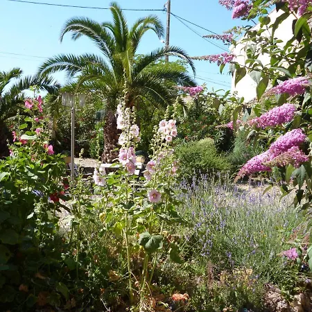 La Maison Des Palmiers Frühstückspension Homps (Aude)