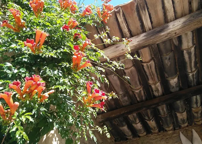 فندق مبيت وإفطار La Maison Des Palmiers 3*